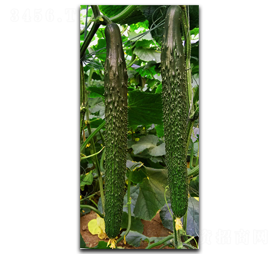 ����102-�S�ϷN��