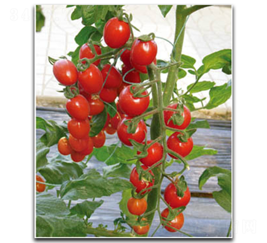 �����~(y��)159-���ѷN��