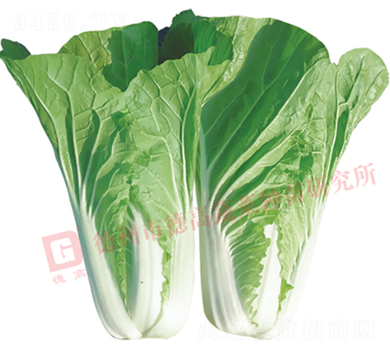 �¸�1826-��˷N��-�¸�