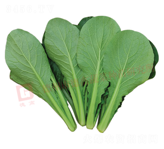 �¸�2588-��˷N��-�¸�