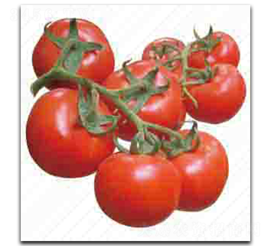 ����-���ѷN��