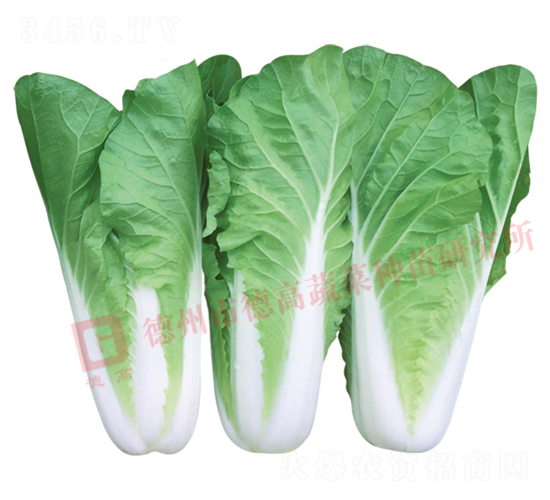 ���9̖(h��o)-��˷N��-�¸�