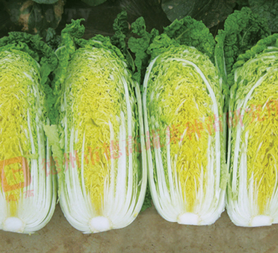 �¸߽�����-���޲˷N��-�¸�