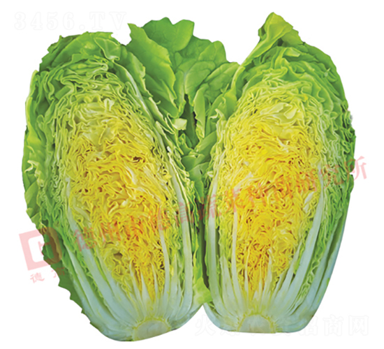 �¸�1431-��ײ˷N��-�¸�