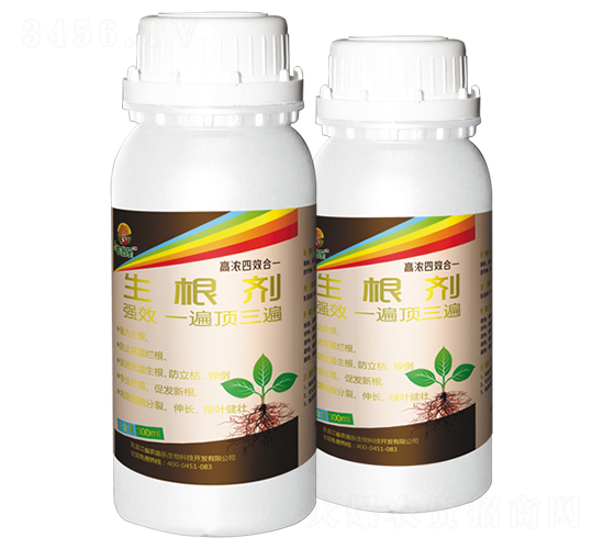 ������-�r�̘�