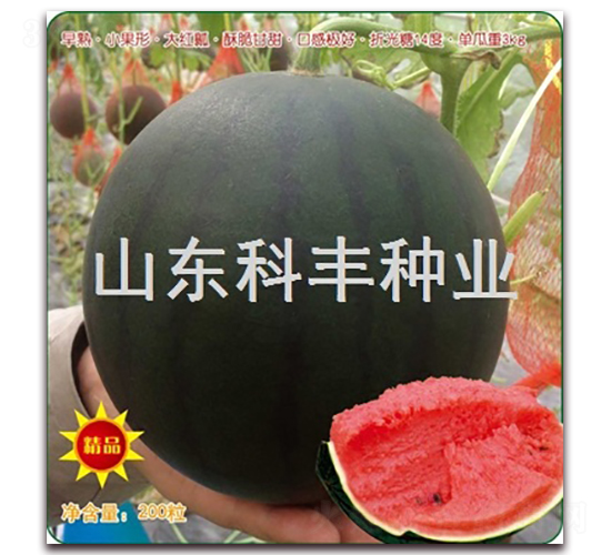 ���Ќ�-���ϷN��-���S�N�I(y��)