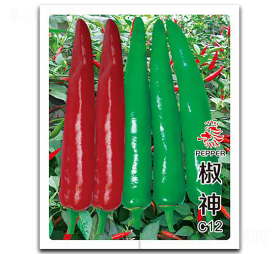 ����C12-�����N��-�Έ@����