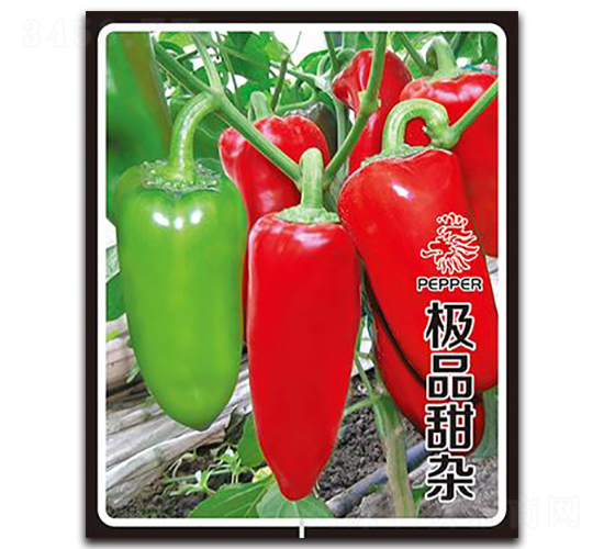 �OƷ���s-�����N��-�Έ@����