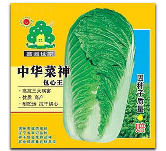 ���A���������-�ײ˷N��-�Έ@����