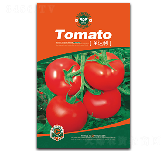 ʥ�_��-���ѷN��-�Έ@����