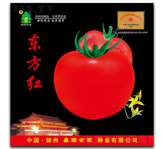 �|���t-���ѷN��-�Έ@����