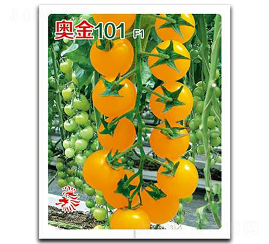 �W��101-���ѷN��-�Έ@����