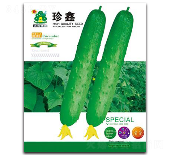 ����-�S�ϷN��-�Έ@����