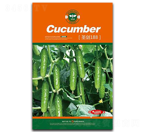 ʥ��188-�S�ϷN��-�Έ@����