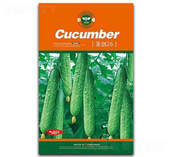 ʥ��26-�S�ϷN��-�Έ@����