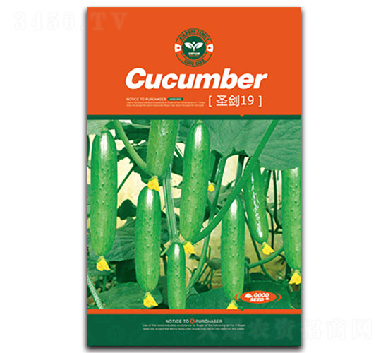 ʥ��19-�S�ϷN��-�Έ@����