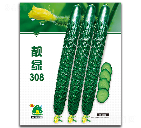 �n�G308-�S�ϷN��-�Έ@����