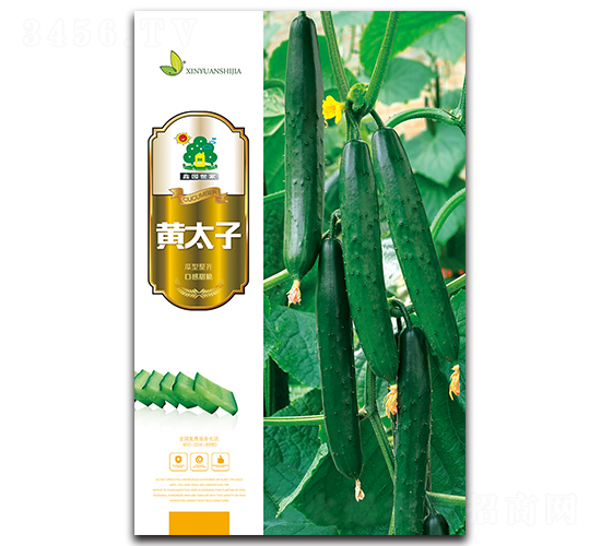 �S̫��-�S�ϷN��-�Έ@����