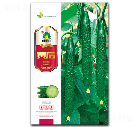 �S��-�S�ϷN��-�Έ@����