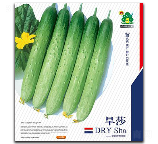 ��ɯ-�S�ϷN��-�Έ@����