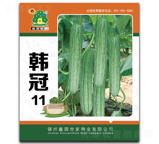 �n��11-�S�ϷN��-�Έ@����