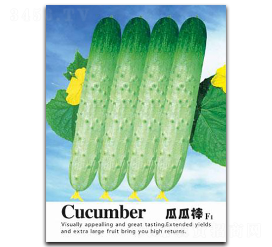 �Ϲϰ�-�S�ϷN��-�Έ@����