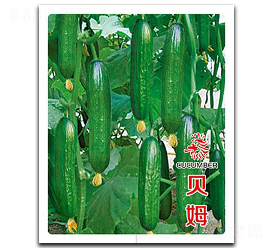 ؐķ-�S�ϷN��-�Έ@����