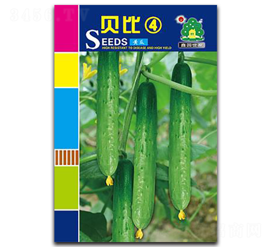 ؐ��4-�S�ϷN��-�Έ@����