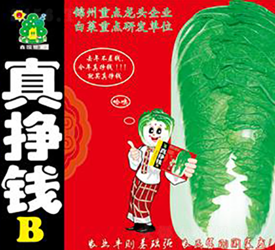 ����XB-�ײ˷N��-�Έ@����