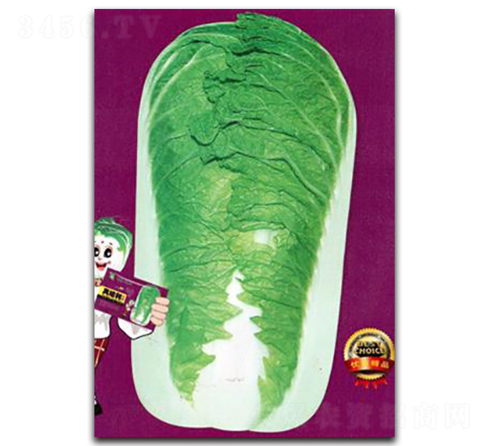 ��o��B-�ײ˷N��-�Έ@����