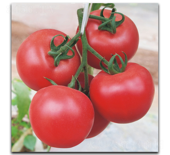 ����148-���ѷN��