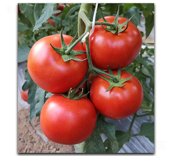 ����128-���ѷN��