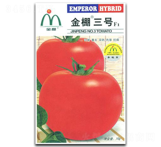 ������̖-���ѷN��