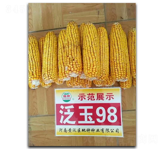 ����98-���׷N��