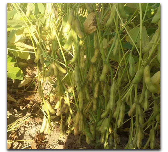 �_�¾G-ë���N��-ï�A�N�I(y��)