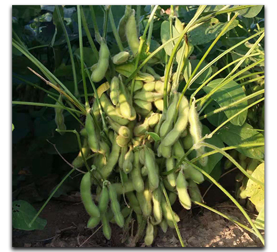 �|�rһ̖(h��o)-ë���N��-ï�A�N�I(y��)