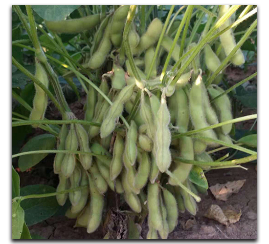 ï��(y��u)66-ë���N��-ï�A�N�I(y��)