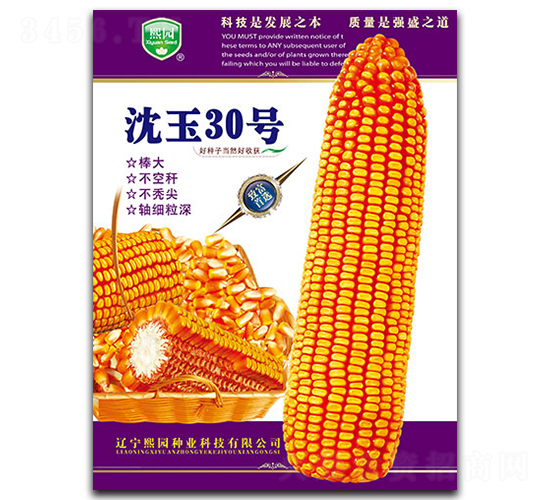 ����30̖-���׷N��-���@�N�I(y��)