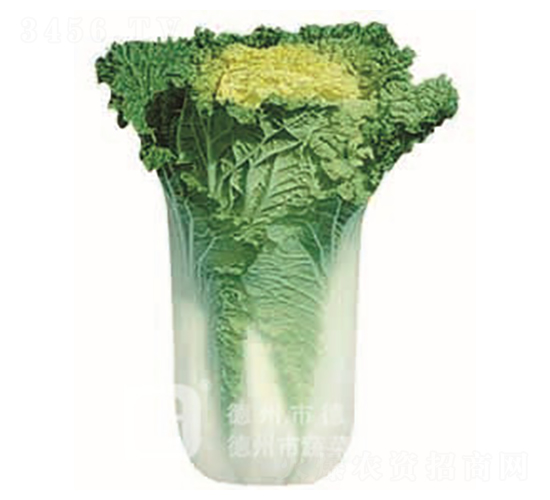 �S��58-�S�İײ˷N��-�¸�