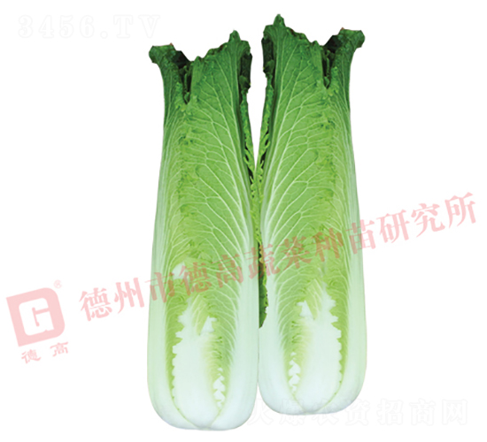 ��ѿ�B��-�B��18-��ײ˷N��-�¸�