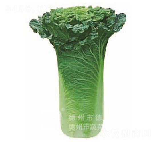 �����~�ײ�-���A76-��ײ˷N��-�¸�