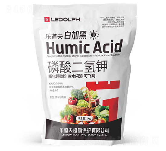 ��������-�׼Ӻ�-������