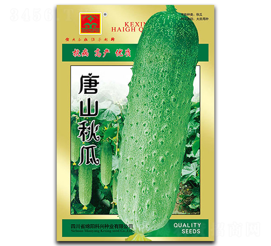 ��ɽ���-�S�ϷN��-���d�N�I(y��)