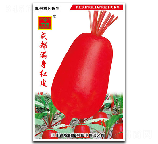 �M���tƤ�}��-�}���N��-���d�N�I(y��)