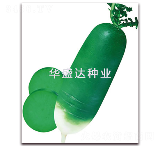 ���u�����}��-�}���N��-�Aʢ�_(d��)