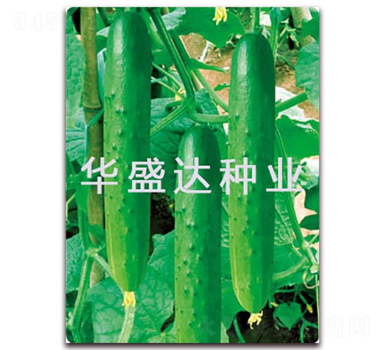 ���﹝(ji��)��-�S�ϷN��-�Aʢ�_