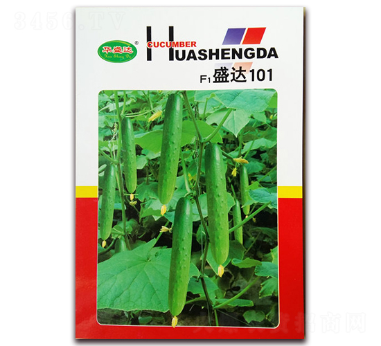 F1ʢ�_(d��)101-�S�ϷN��-�Aʢ�_(d��)