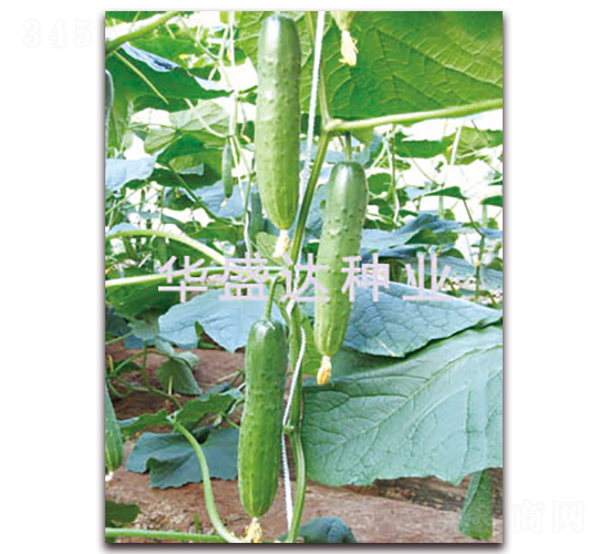 ʢ�_(d��)103-�S�ϷN��-�Aʢ�_(d��)