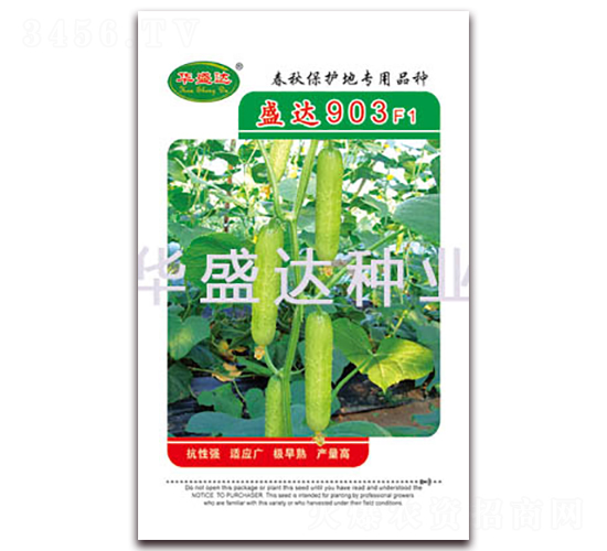 ʢ�_903F1-�S�ϷN��-�Aʢ�_