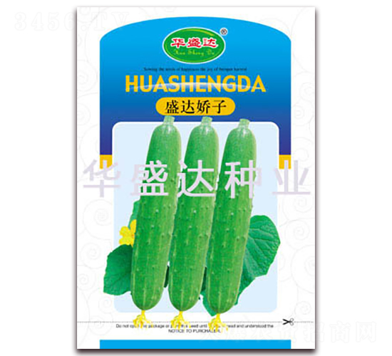 ʢ�_(d��)����-�S�ϷN��-�Aʢ�_(d��)